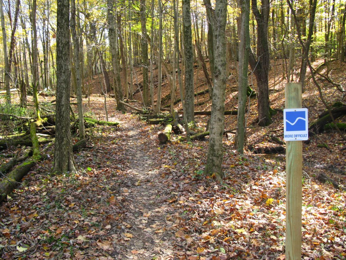 A winding hiking trail through a forest with autumn foliage on the ground. Tall trees frame the path, which is marked by a sign indicating "More Difficult." The landscape features fallen branches and a mix of green and brown leaves scattered along the trail. Chestnut Ridge mountain bike trail.