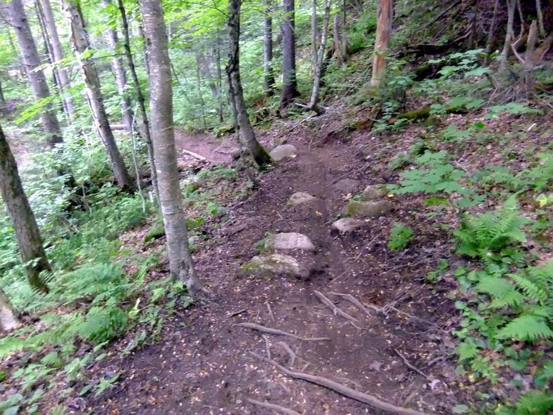 A narrow, winding dirt path through a lush green forest, surrounded by tall trees and ferns. The trail is uneven, with rocks and tree roots visible along the surface, inviting exploration in a serene natural setting. Mont Sainte-anne mountain bike trail.