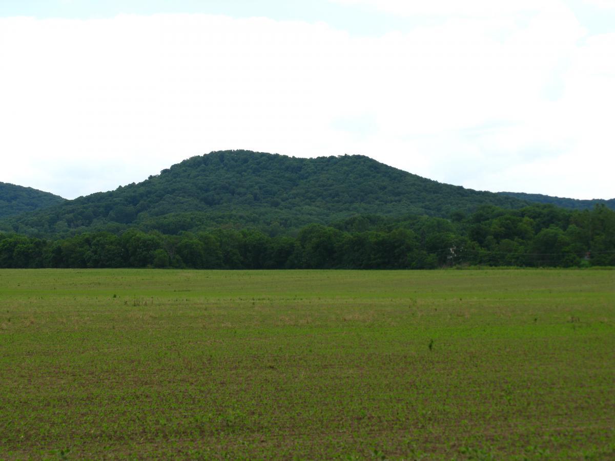 A panoramic view of a green, open field in the foreground with a gently rolling, tree-covered hill in the background under a partly cloudy sky. Great Seal State Park mountain bike trail.