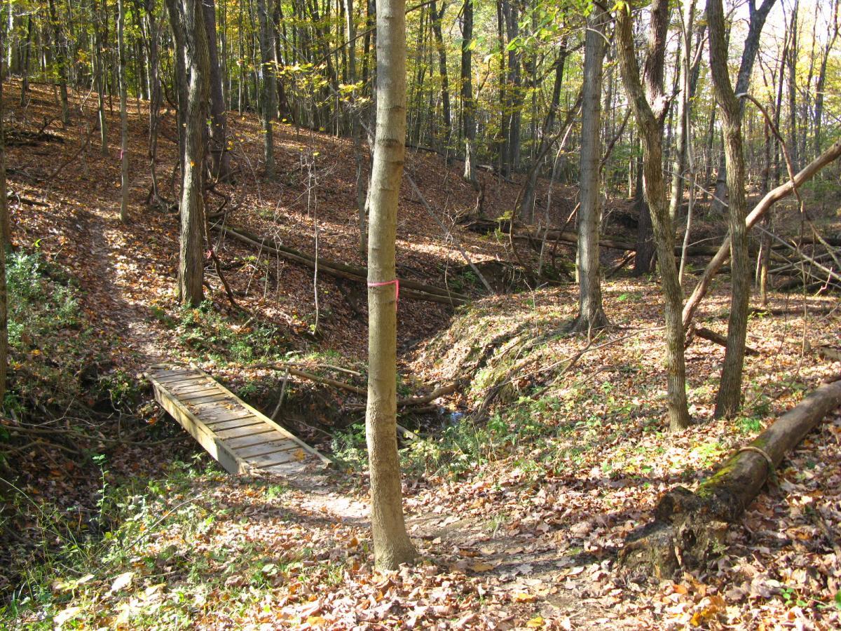 A serene forest scene featuring a wooden bridge crossing a small stream, surrounded by trees with autumn foliage and a carpet of fallen leaves on the forest floor. Sunlight filters through the branches, illuminating the natural setting. Chestnut Ridge mountain bike trail.