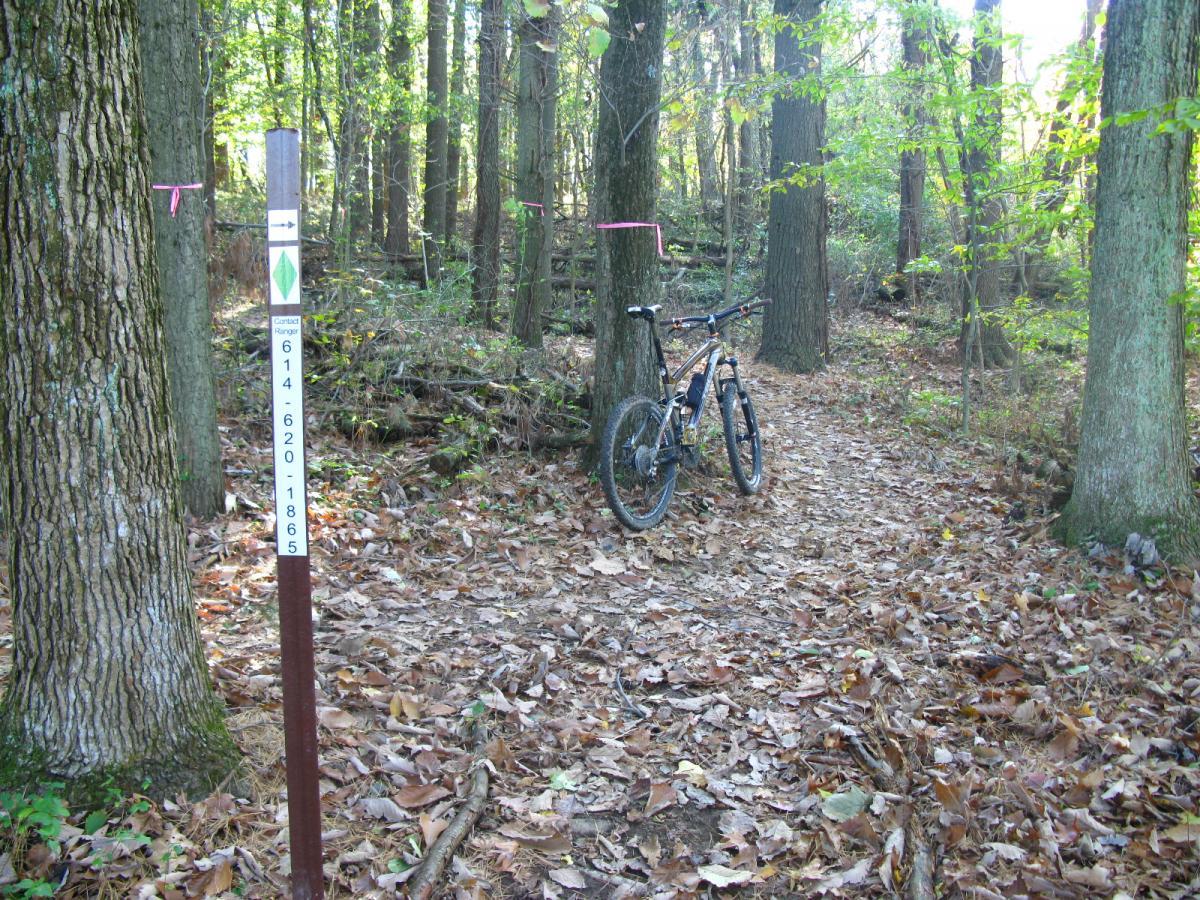 A mountain bike is parked beside a dirt trail in a forested area, with trees surrounding the path. A trail marker stands nearby, displaying contact information for park rangers. The ground is covered with fallen leaves, and sunlight filters through the trees, creating a serene outdoor atmosphere. Chestnut Ridge mountain bike trail.