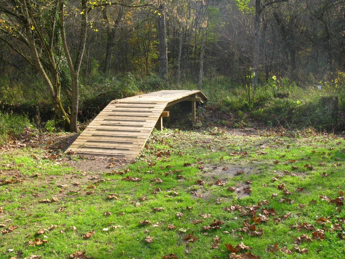A small wooden footbridge spans a grassy area, surrounded by trees with autumn foliage. Fallen leaves cover the ground, and the scene is illuminated by soft natural light, suggesting a peaceful outdoor setting. Strouds Run State Park mountain bike trail.