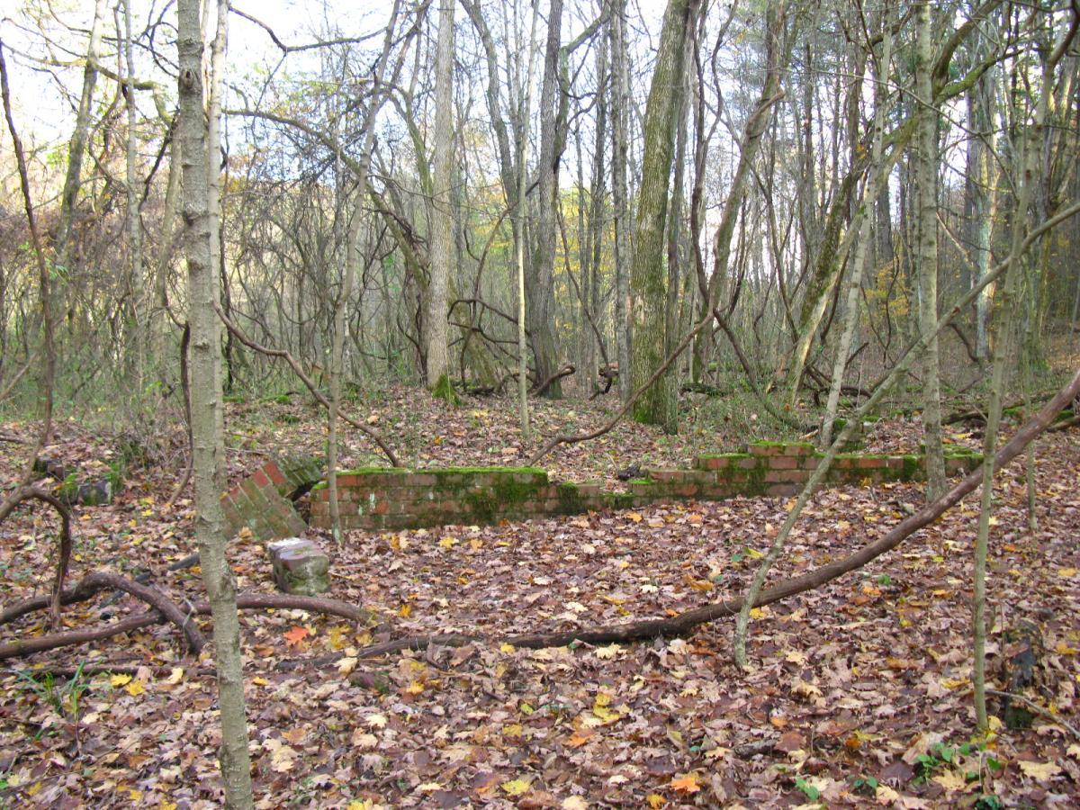 An overgrown forest scene featuring the remnants of a brick structure. The area is covered in a layer of fallen leaves, with trees and vines encroaching upon the ruins, creating a sense of nature reclaiming the space. Strouds Run State Park mountain bike trail.