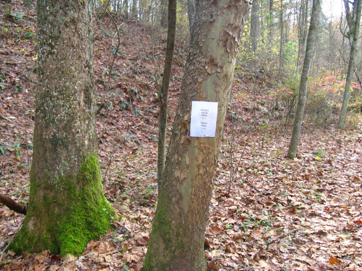 A close-up view of two trees in a forest, with fallen leaves covering the ground. A white sign is attached to one of the trees, indicating "FINGER FOOD TRAIL" and "TRACE TRAIL." The surrounding area is natural, showcasing a hilly terrain with sparse vegetation. Strouds Run State Park mountain bike trail.