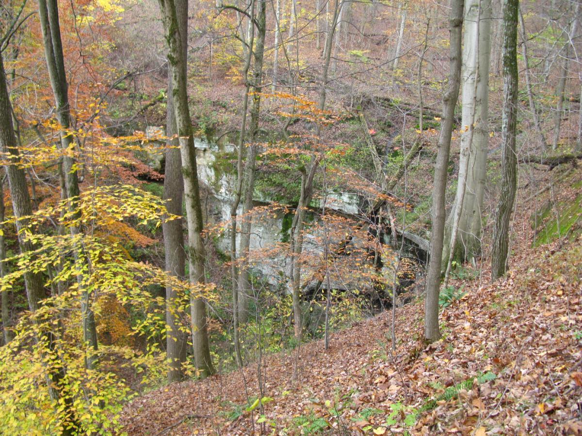 A forest scene featuring trees with autumn foliage in shades of yellow, orange, and brown. In the background, a stone structure is partially visible among the trees, surrounded by fallen leaves on the forest floor. Strouds Run State Park mountain bike trail.