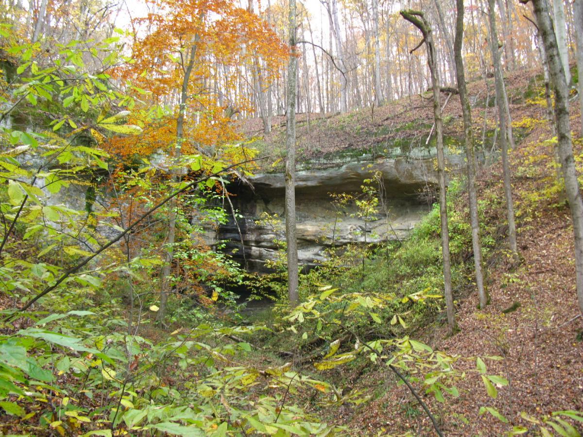 A serene forest landscape displaying a rocky outcrop surrounded by trees in autumn foliage, with vibrant yellow, orange, and green leaves scattered on the ground and among the branches. Strouds Run State Park mountain bike trail.