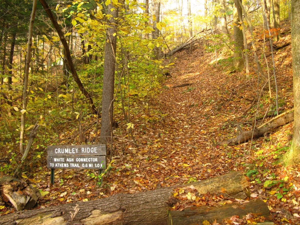 A wooded hiking trail in autumn, covered with fallen leaves, leading uphill. A wooden sign labeled "Crumley Ridge" indicates the White Ash Connector to Athens Trail, with a distance of 0.6 miles noted. The scene is filled with vibrant fall foliage and scattered tree trunks. Strouds Run State Park mountain bike trail.