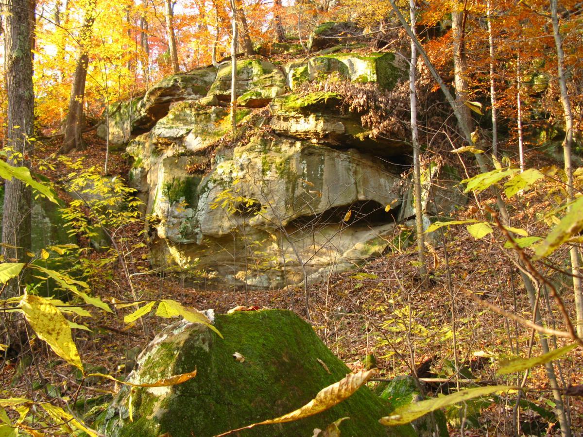 A rocky cliff face covered in moss and surrounded by autumn foliage, including vibrant yellow and orange leaves. Trees are visible in the background, highlighting the seasonal change in a serene forest setting. Strouds Run State Park mountain bike trail.