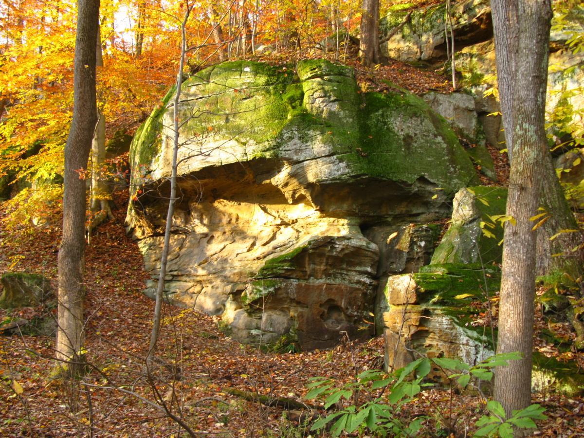 A rocky formation covered in moss, surrounded by trees and vibrant autumn foliage, with fallen leaves scattered on the forest floor. Strouds Run State Park mountain bike trail.
