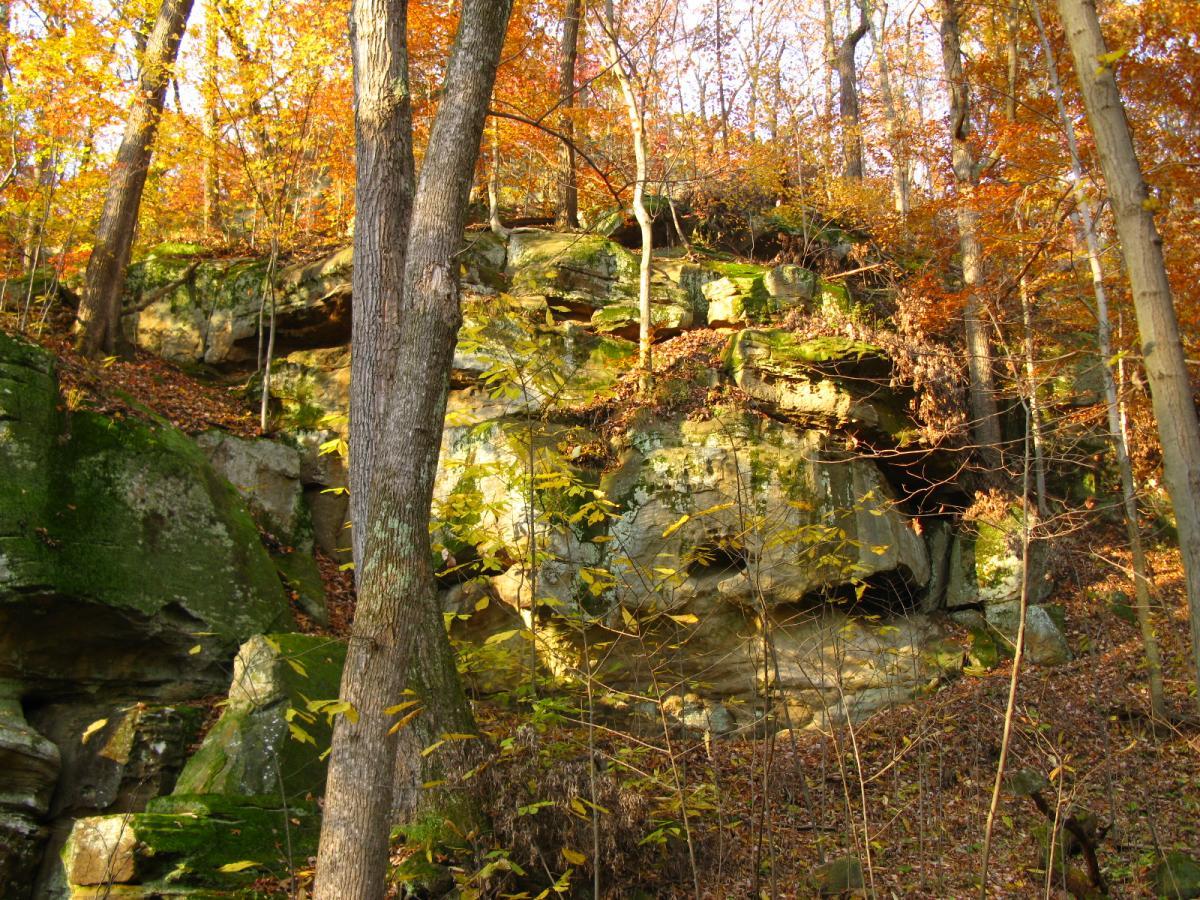 A rocky outcrop surrounded by vibrant autumn foliage, featuring tall trees with orange and yellow leaves. Sunlight filters through the branches, illuminating the moss-covered rocks below. Strouds Run State Park mountain bike trail.