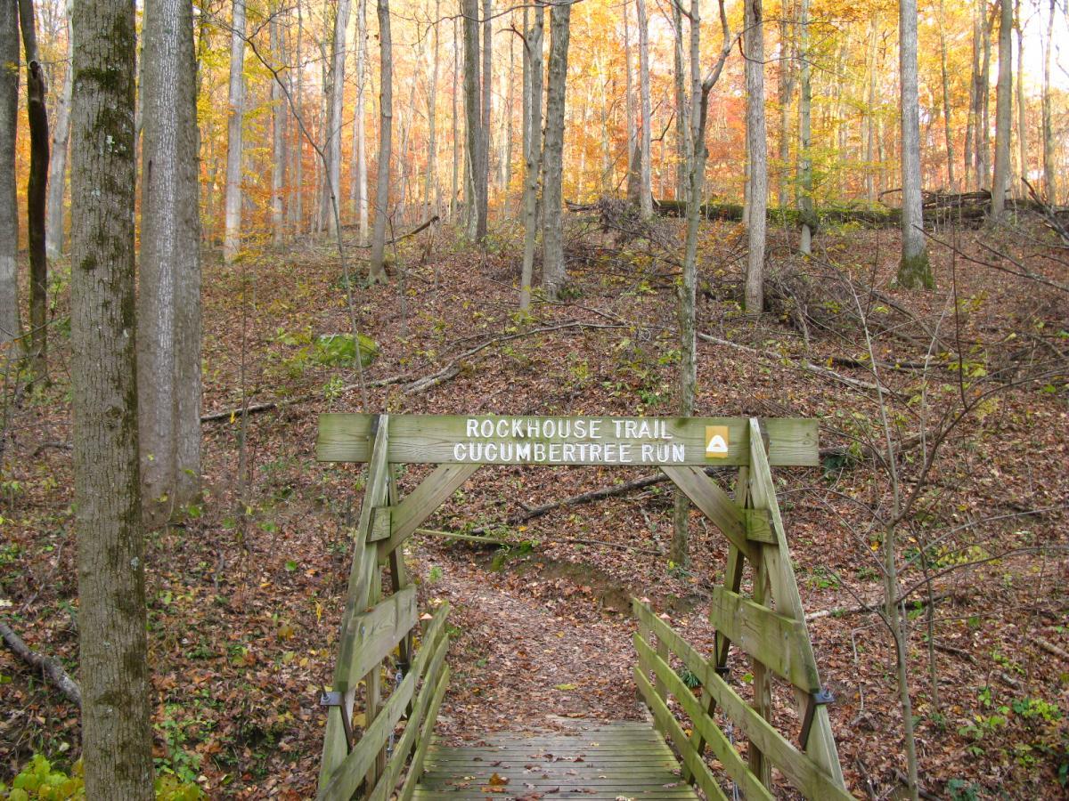 A wooden sign labeled "Rockhouse Trail Cucumbertree Run" is positioned at the entrance of a forested trail. The surrounding area features tall trees with autumn foliage, displaying vibrant orange and yellow leaves. A wooded pathway leads into the background, covered with fallen leaves and gentle slopes. Strouds Run State Park mountain bike trail.