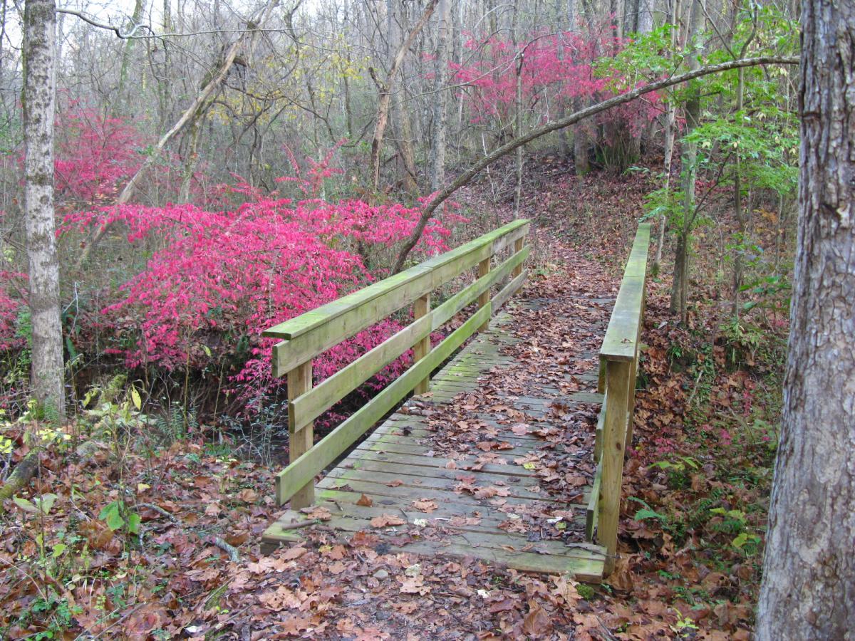 A wooden bridge spans a small path in a wooded area, surrounded by vibrant pink foliage. The ground is covered with fallen leaves, and trees with bare branches are visible in the background, suggesting a tranquil autumn setting. Strouds Run State Park mountain bike trail.