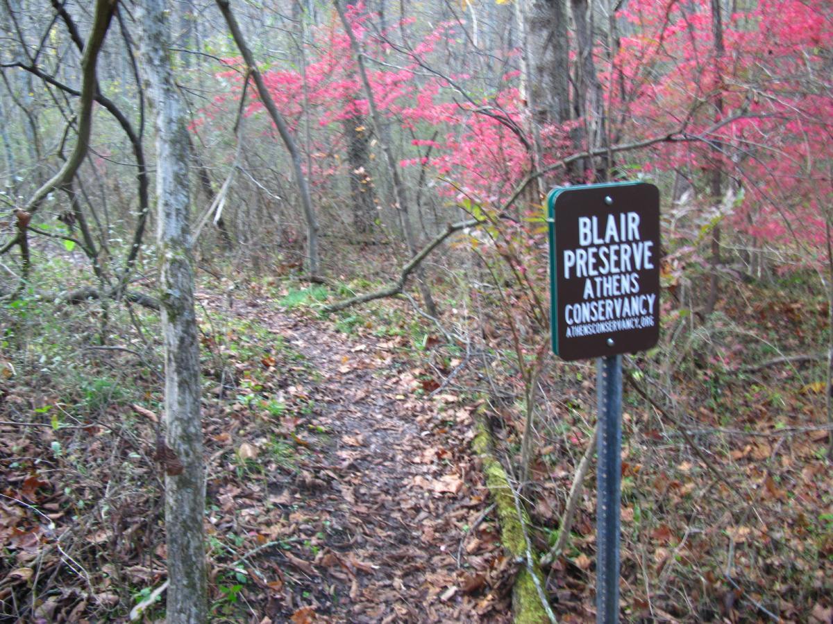 A narrow dirt trail surrounded by trees and shrubs, with a sign marked "Blair Preserve Athens Conservancy" standing beside it. Colorful foliage in the background indicates the presence of nearby flora. Strouds Run State Park mountain bike trail.