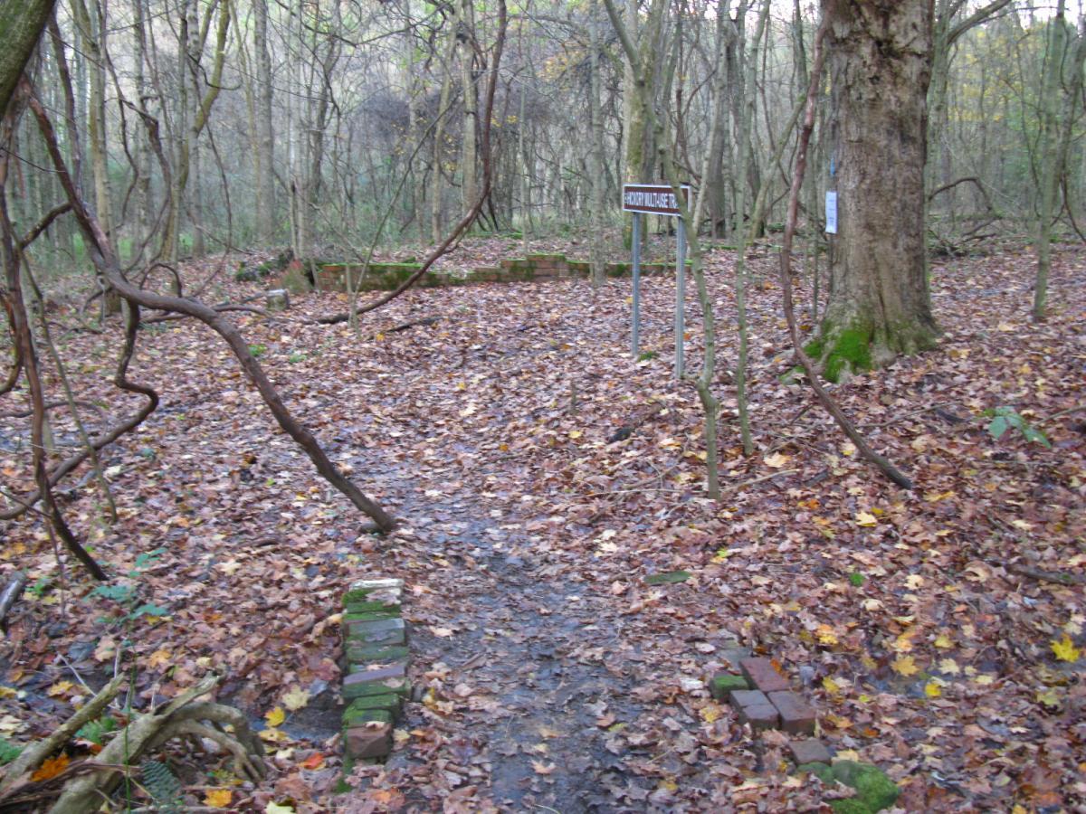 A narrow, muddy path winding through a dense forest, covered with autumn leaves. To the left, remnants of bricks can be seen along the trail, and a sign labeled "Rocky Mountain Trail" stands nearby. The setting is tranquil, with trees in various stages of leaf change, indicating a late fall season. Strouds Run State Park mountain bike trail.