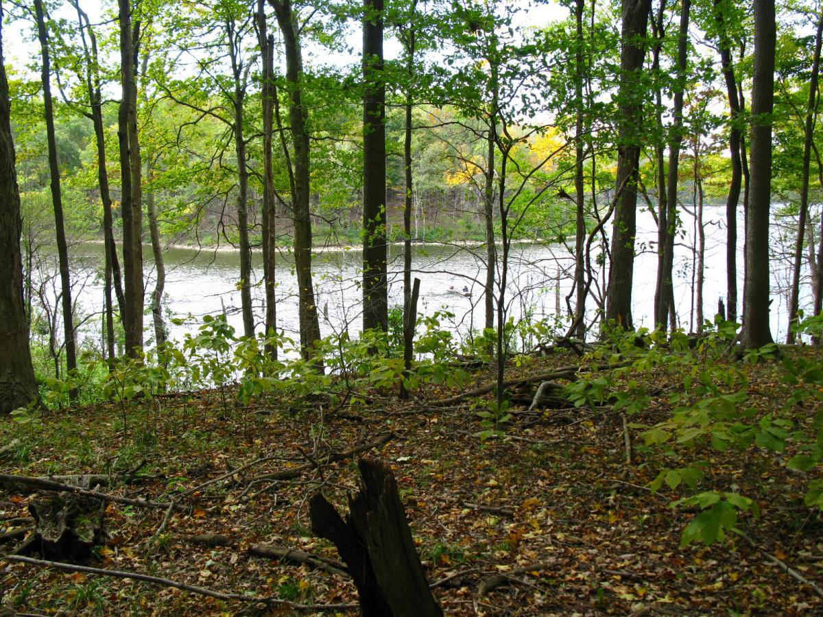 A serene view of a forested area with tall trees and underbrush, leading to a calm body of water in the background. The scene captures the beauty of nature, with lush green leaves and hints of fall colors peeking through, creating a peaceful atmosphere. East Fork mountain bike trail.