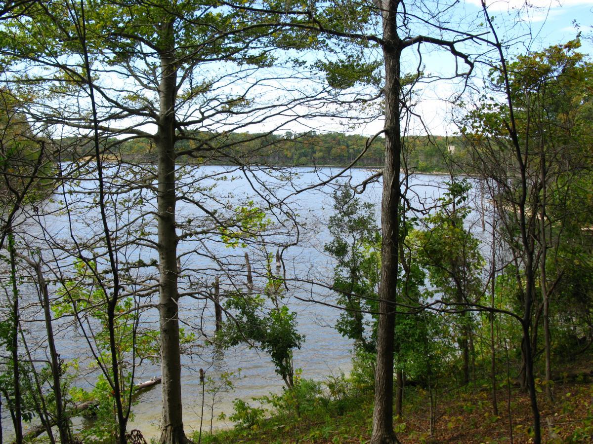 A tranquil view of a lake framed by leafy trees and branches, showcasing calm waters under a partly cloudy sky, with hints of autumn colors in the background. East Fork mountain bike trail.