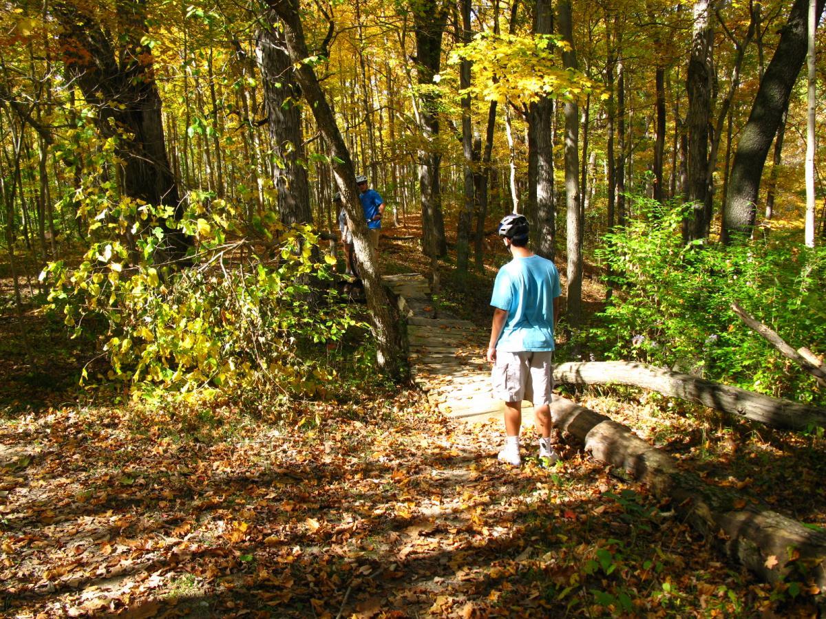 A person in a blue shirt and shorts stands on a forest trail surrounded by autumn foliage, looking towards a wooden bridge leading deeper into the woods. Sunlight filters through the trees, illuminating the colorful leaves scattered on the ground. Another individual can be seen in the background, also navigating the path. Hueston Woods State Park mountain bike trail.