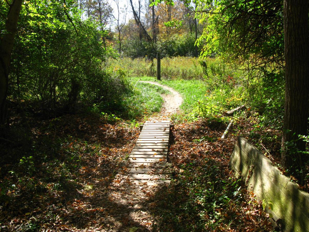 A narrow, winding pathway through a wooded area, featuring a wooden bridge over a section of the trail. The path is surrounded by lush green foliage and scattered autumn leaves, with sunlight filtering through the trees, creating a serene and inviting atmosphere. Hueston Woods State Park mountain bike trail.