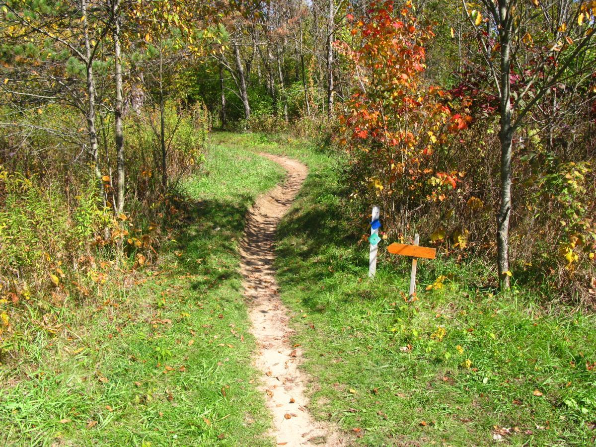 A winding dirt path leads through a forested area, flanked by greenery and trees displaying autumn foliage in shades of orange and yellow. A trail sign marks the intersection, with one arrow pointing to the right. Sunlight filters through the trees, creating a serene and inviting atmosphere. Hueston Woods State Park mountain bike trail.