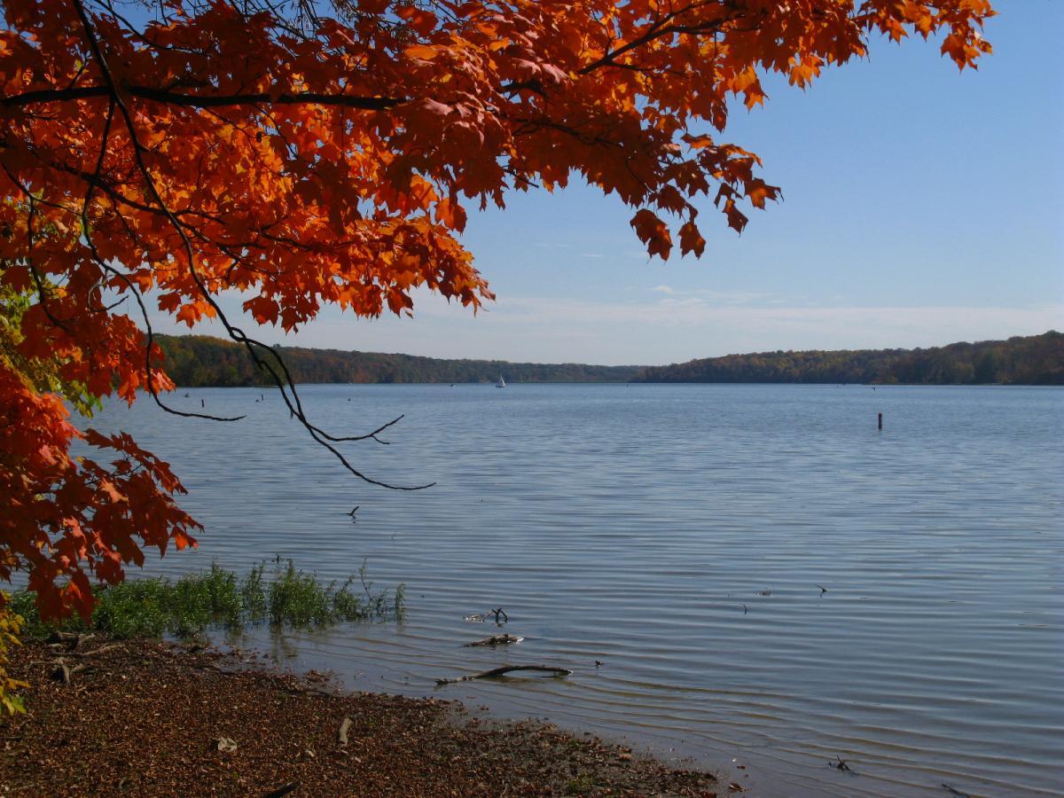 A serene lakeside view featuring vibrant autumn leaves in shades of orange and red. The calm water reflects the clear blue sky, with a hint of greenery along the shore. In the distance, gentle hills can be seen, enhancing the peaceful landscape. Hueston Woods State Park mountain bike trail.