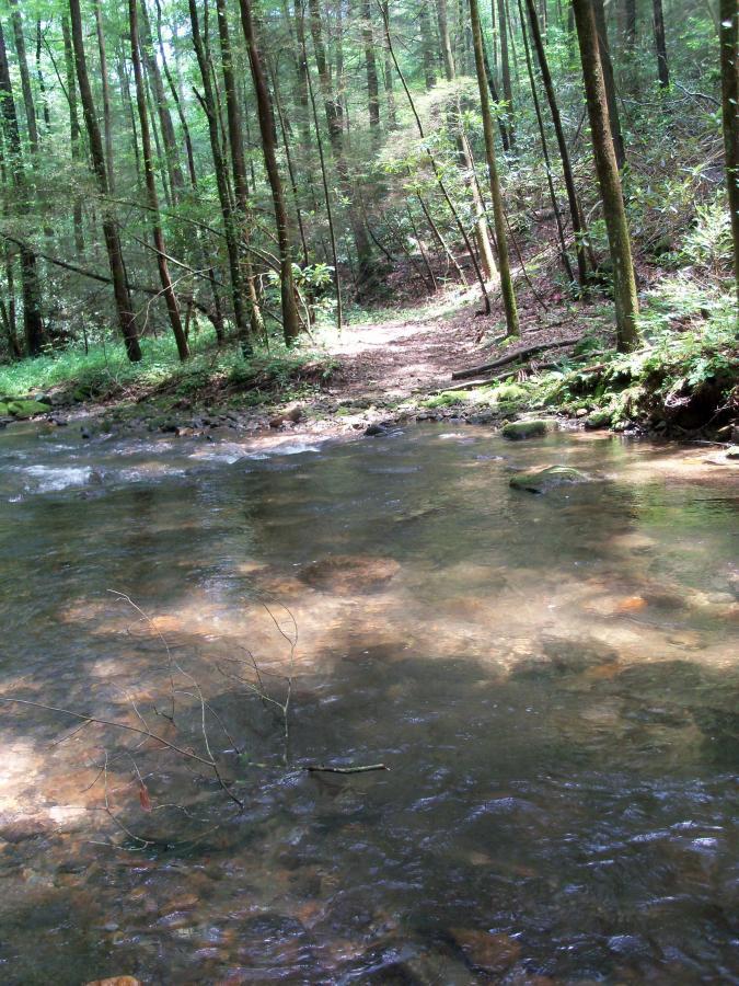 A serene forest scene featuring a gentle stream flowing beside a path. The lush greenery of trees and underbrush surrounds the water, with sunlight filtering through the leaves, creating a tranquil atmosphere. Smooth stones are visible beneath the clear water, and a few twigs are scattered along the bank. Pinhoti Trail: Mountaintown Creek Segment mountain bike trail.