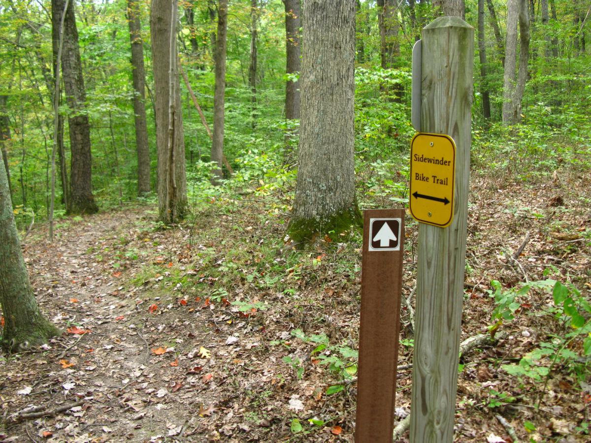 A well-maintained dirt bike trail winds through a lush green forest. To the right, a wooden sign labeled "Sidewinder Bike Trail" indicates the trail direction with arrows. A brown post features a white arrow symbol, guiding cyclists along the path. Fallen leaves and diverse vegetation are visible along the trail, enhancing the natural scenery. Lake Hope State Park mountain bike trail.