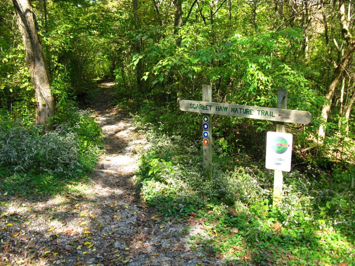 A scenic view of the Scarlet Haw Nature Trail, showing a winding dirt path surrounded by lush greenery and trees. A wooden sign displaying the trail name is positioned at the entrance, accompanied by colored markers and an informational badge. The trail is inviting and offers a peaceful atmosphere for walking or exploring nature. Van  Buren mountain bike trail.