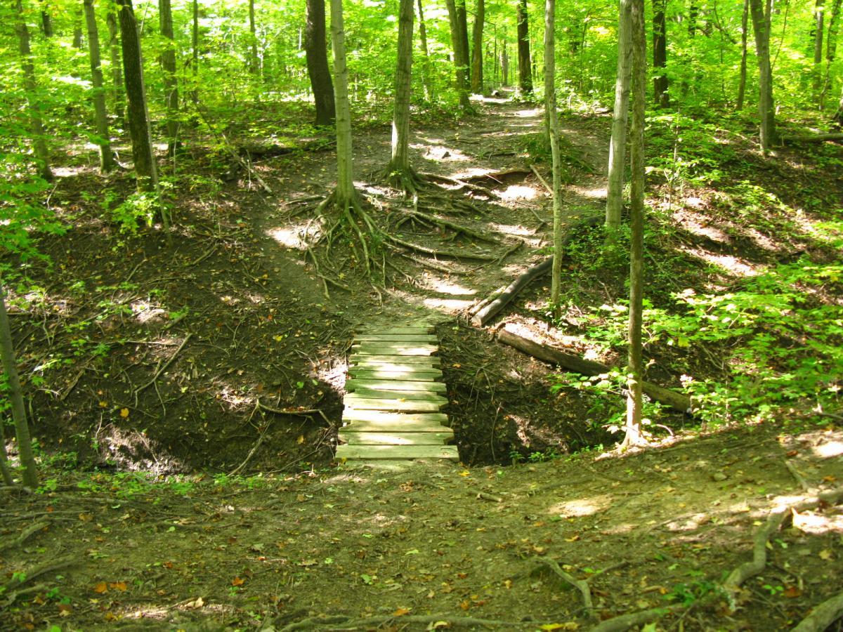 A wooden bridge spans a small ravine in a sunlit forest, surrounded by lush green foliage and tree trunks. The ground is uneven, with exposed roots and patches of soil, creating a natural, serene pathway through the woods. Van  Buren mountain bike trail.