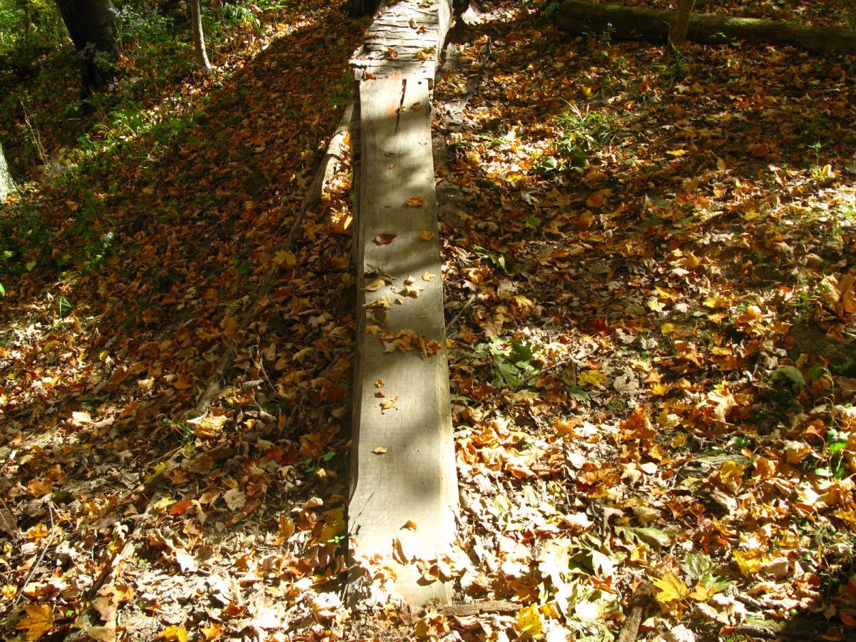 A wooden pathway covered with autumn leaves in a forest, illuminated by sunlight streaming through the trees. Hueston Woods State Park mountain bike trail.