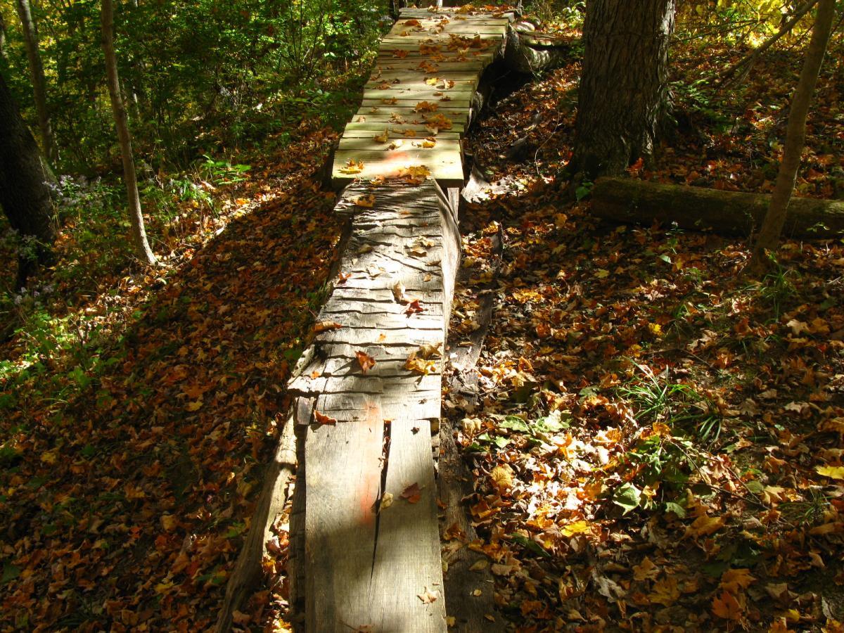 Wooden pathway through a forest covered with autumn leaves, illuminated by sunlight filtering through the trees. The path is narrow and bordered by colorful fallen leaves, creating a serene and inviting outdoor setting. Hueston Woods State Park mountain bike trail.
