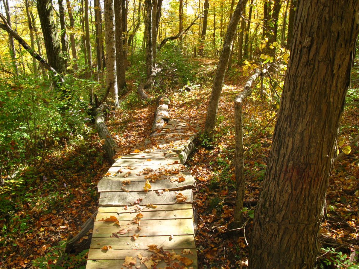 A wooden pathway covered in autumn leaves winds through a vibrant forest with tall trees displaying yellow and orange foliage. Sunlight filters through the branches, casting a warm glow on the scene. Hueston Woods State Park mountain bike trail.