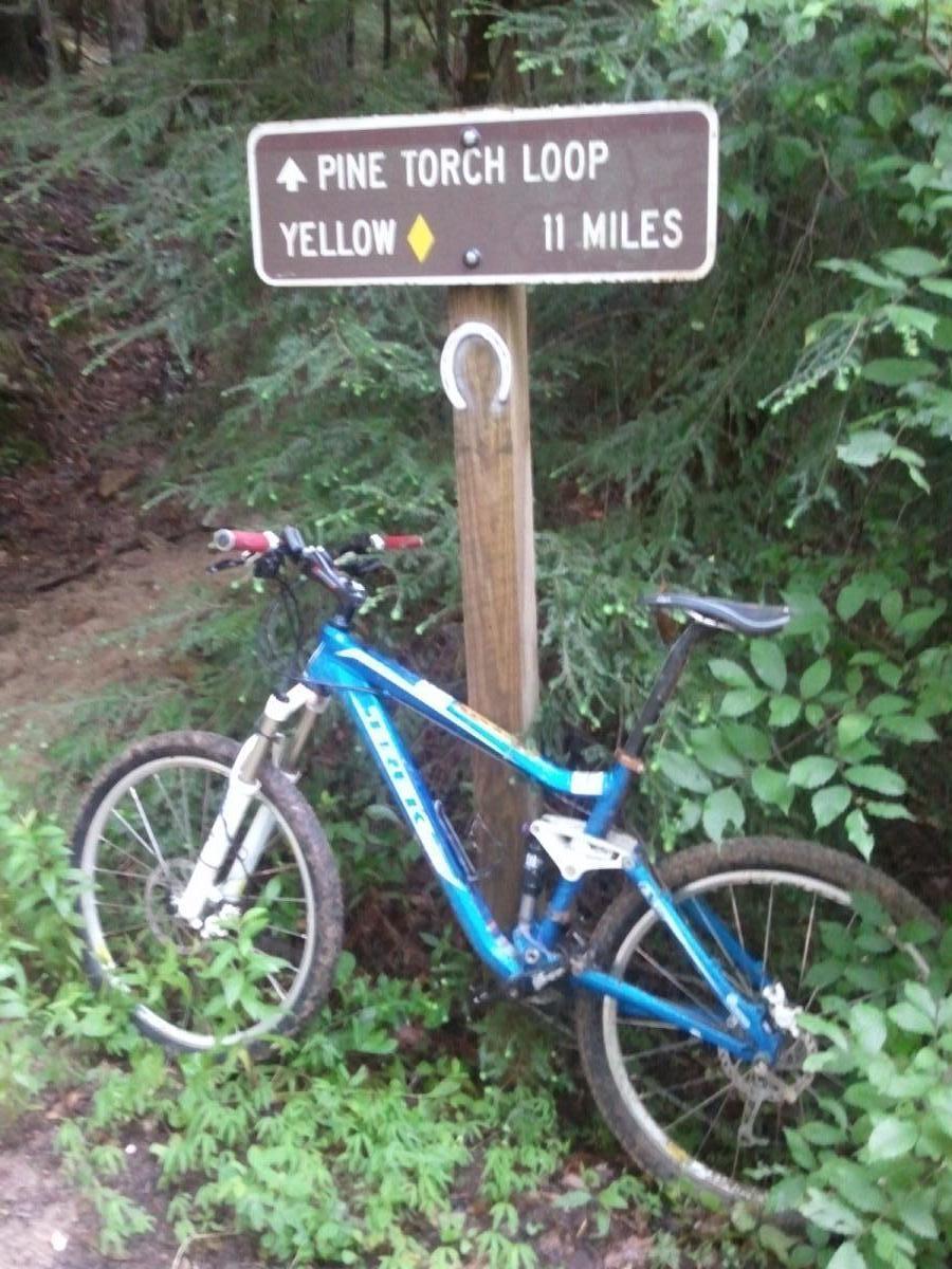 A blue mountain bike leaning against a wooden trail sign indicating the Pine Torch Loop trail, which is marked as yellow and extends for 11 miles, surrounded by greenery. Pine Torch Church Loop mountain bike trail.