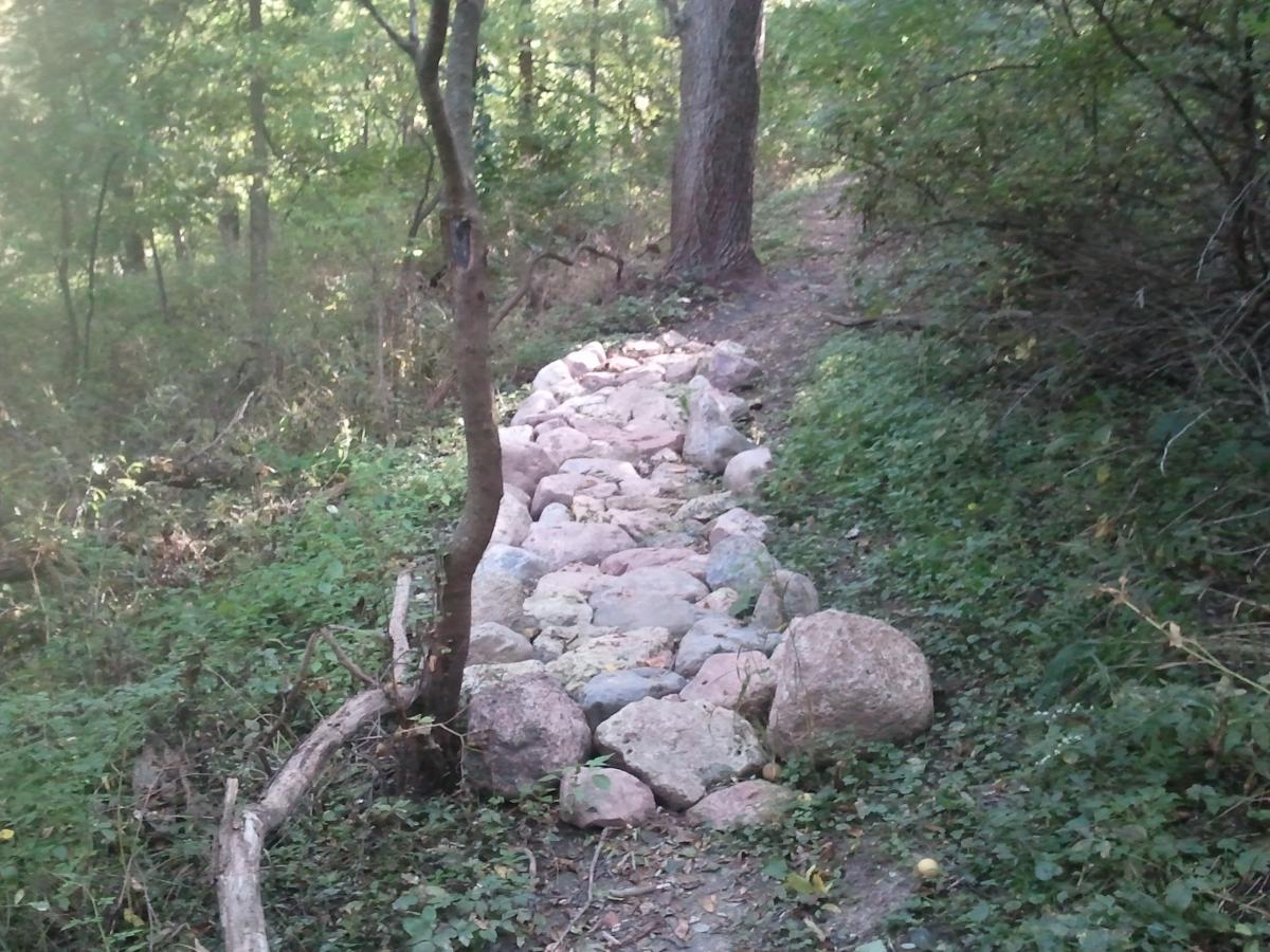 A narrow, forested pathway lined with smooth, colorful stones, leading through dense greenery and trees. Sunlight filters through the leaves, creating a serene and natural atmosphere. Sunderbruch Park mountain bike trail.