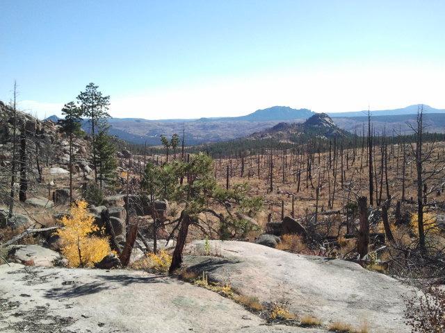 A scenic view of a mountainous landscape featuring rocky terrain and sparse vegetation. The foreground includes a few resilient trees and patches of yellow foliage, while the background shows a wide valley with remnants of burnt trees, under a clear blue sky. Mountains are visible in the distance, creating a striking contrast with the charred remains of the forest. Buffalo Creek mountain bike trail.
