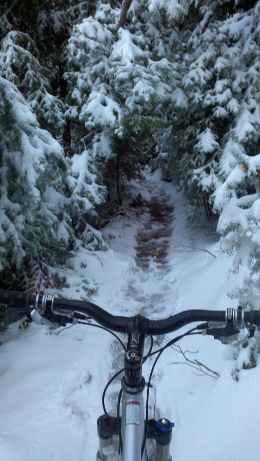 View from the handlebars of a mountain bike on a snowy trail surrounded by evergreen trees. The path is partially covered in snow, leading further into the wooded area. Bridle Trail mountain bike trail.