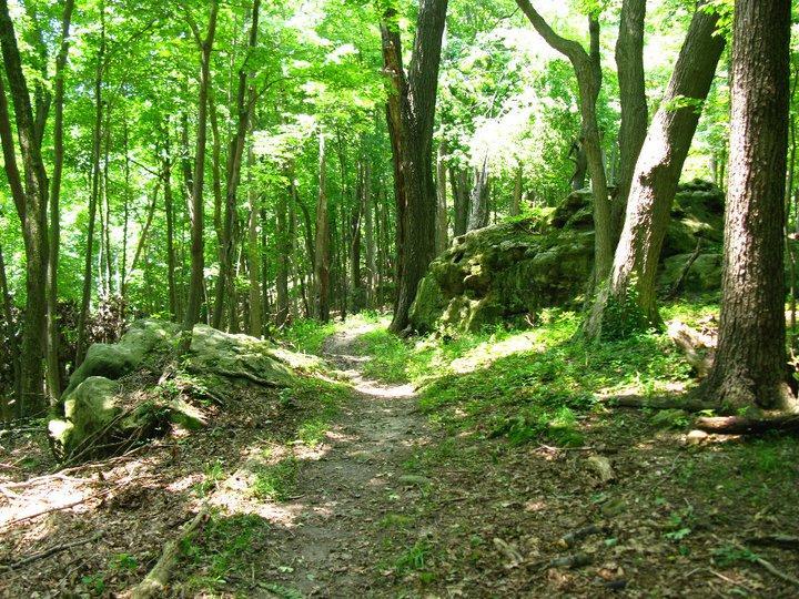 A winding dirt path through a lush green forest, lined with tall trees and surrounded by rocks, with sunlight filtering through the leaves. Great Seal State Park mountain bike trail.