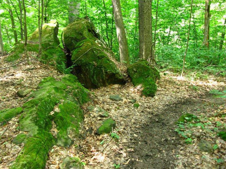 A woodland scene featuring large, moss-covered rocks alongside a dirt path. The lush green foliage of trees surrounds the area, with patches of sunlight filtering through the leaves, and scattered leaves on the ground. Great Seal State Park mountain bike trail.