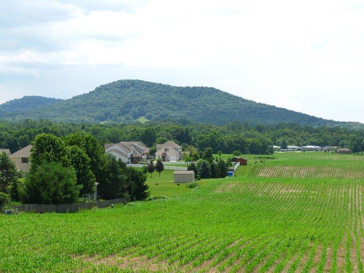 A panoramic view of a rural landscape featuring a lush green field, a cluster of houses, and a distant hill under a partly cloudy sky. The foreground displays crops growing in neat rows, while the background showcases rolling hills covered with trees. Great Seal State Park mountain bike trail.