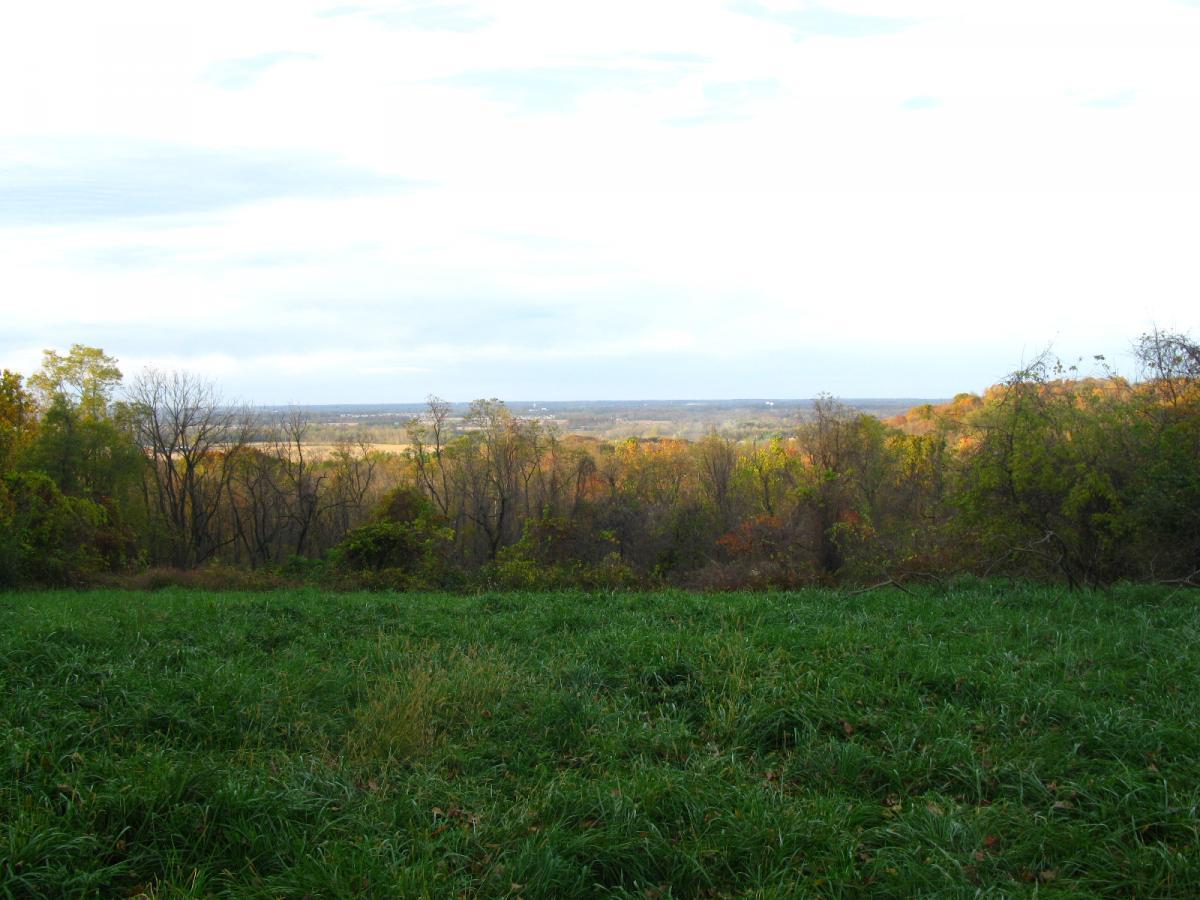 A scenic view of a green grassy field leading to a hillside, with trees displaying autumn colors in the background and a distant landscape under a cloudy sky. Chestnut Ridge mountain bike trail.