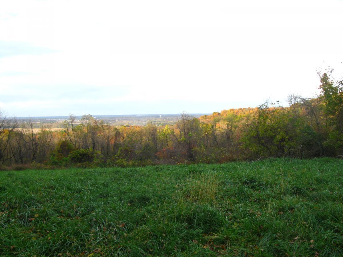 A scenic view of a landscape featuring rolling hills and a grassy foreground, with trees displaying autumn colors in the background under a bright sky. The horizon stretches into the distance, showcasing a tranquil natural setting. Chestnut Ridge mountain bike trail.