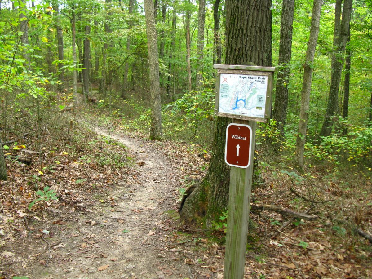 A winding dirt path through a lush forest, flanked by trees and scattered leaves. A trail sign indicating a map of Hope State Park and an arrow pointing right towards "Wildcat" is visible along the path. The scene captures a peaceful natural setting with greenery all around. Lake Hope State Park mountain bike trail.