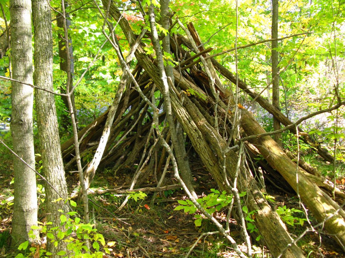 A triangular structure made of wooden branches and logs, surrounded by forest trees and greenery, with sunlight filtering through the leaves. Van  Buren mountain bike trail.