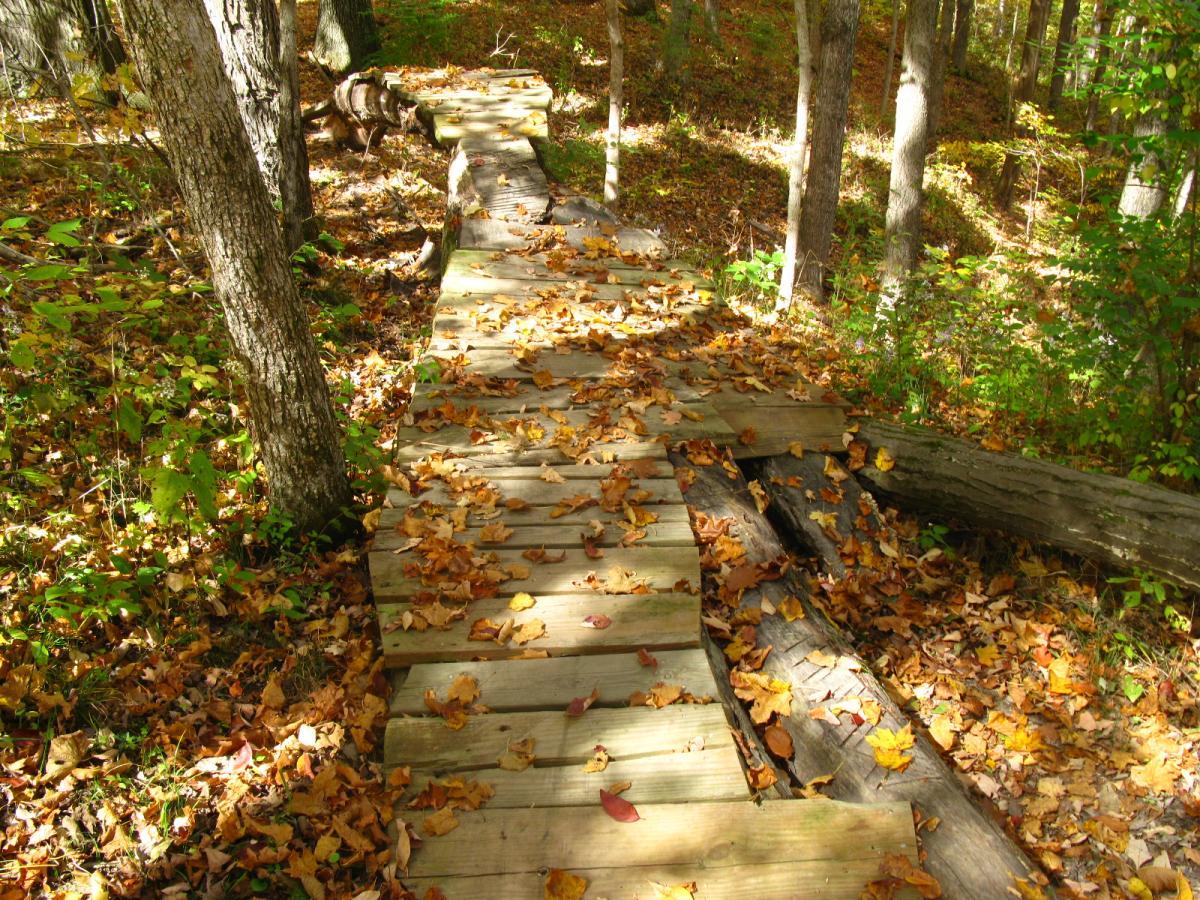 A wooden pathway meanders through a forest, surrounded by trees and carpeted with colorful autumn leaves. Sunlight filters through the foliage, illuminating the trail and the vibrant hues of orange, yellow, and red leaves scattered along the path. Hueston Woods State Park mountain bike trail.