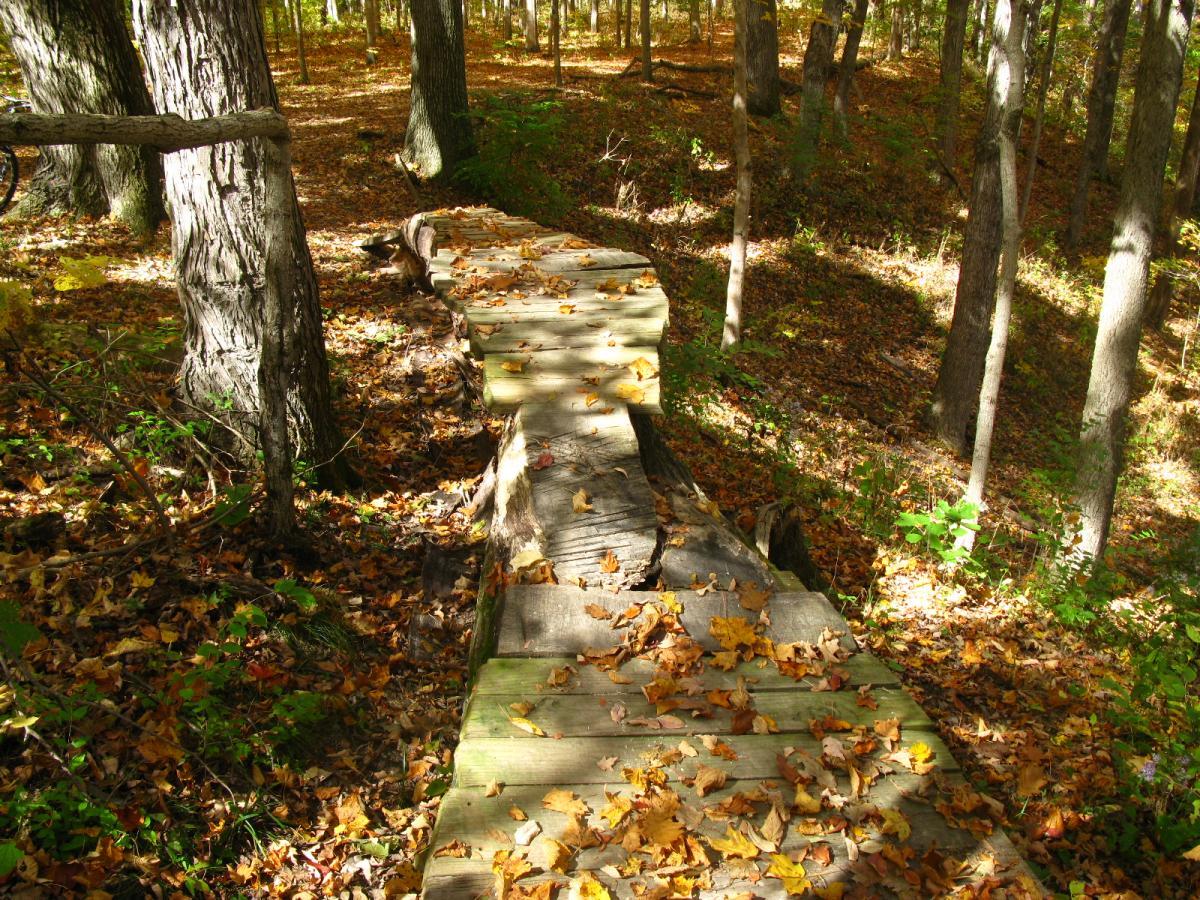 A wooden path winding through a forest, covered with fallen leaves, surrounded by trees in a bright, natural setting. The sunlight filters through the canopy, highlighting the rustic trail and autumn colors. Hueston Woods State Park mountain bike trail.