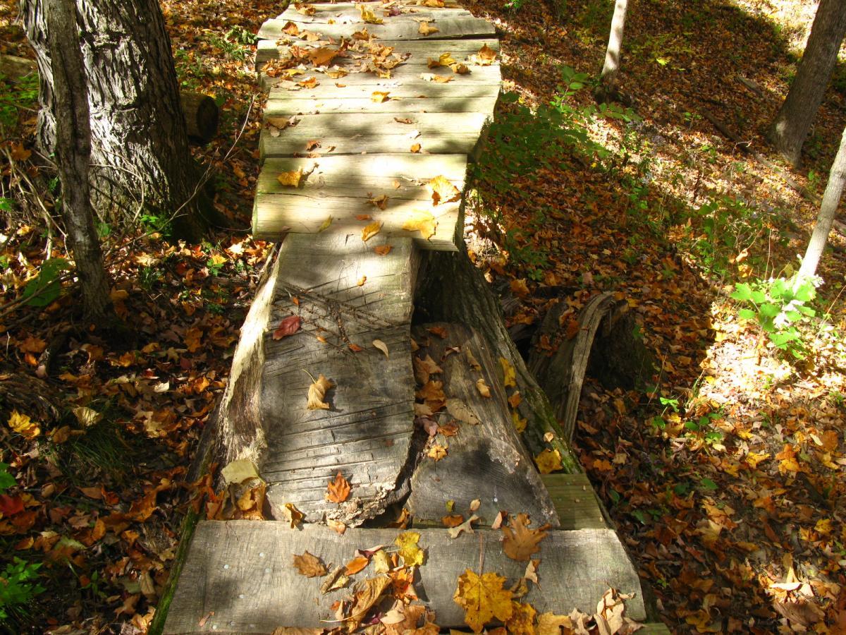 A wooden bridge made from logs spans a forested area, covered in colorful autumn leaves. Sunlight filters through the trees, illuminating the bridge and the surrounding foliage in a tranquil woodland setting. Hueston Woods State Park mountain bike trail.