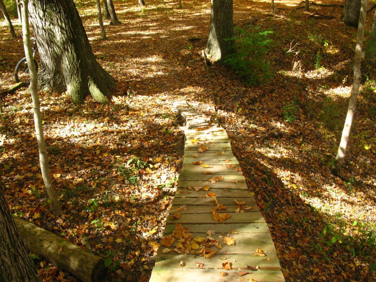 A narrow wooden walkway surrounded by trees, covered with autumn leaves. The ground is a mix of fallen leaves in various shades of orange, yellow, and brown, creating a natural carpet in the forest. Sunlight filters through the trees, casting dappled shadows on the path. Hueston Woods State Park mountain bike trail.