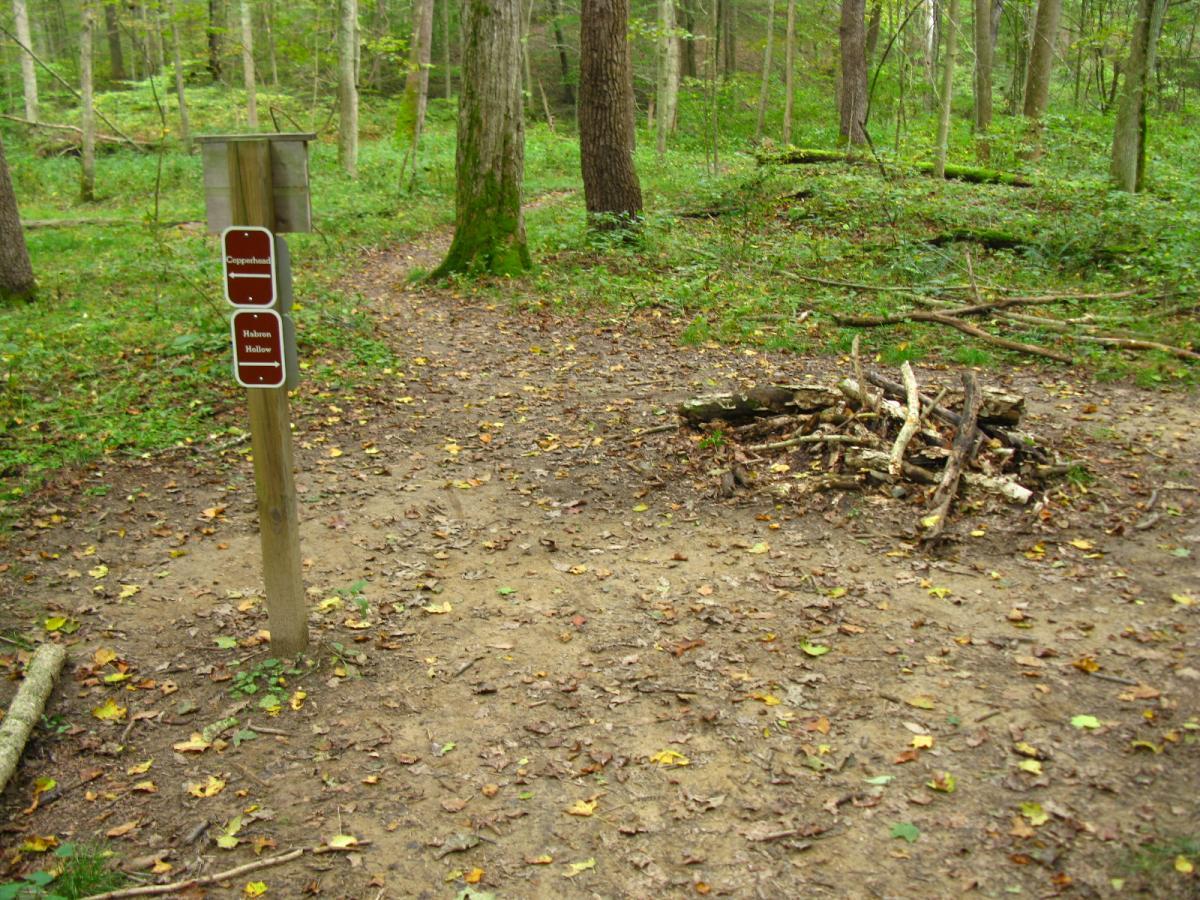 A trail intersection in a forested area, featuring a wooden sign indicating directions to "Copperhead" and "Hawson Hollow." In the foreground is a small pile of branches on the ground, surrounded by fallen leaves and dirt paths leading into the woods. Lush greenery and tall trees create a natural setting. Lake Hope State Park mountain bike trail.