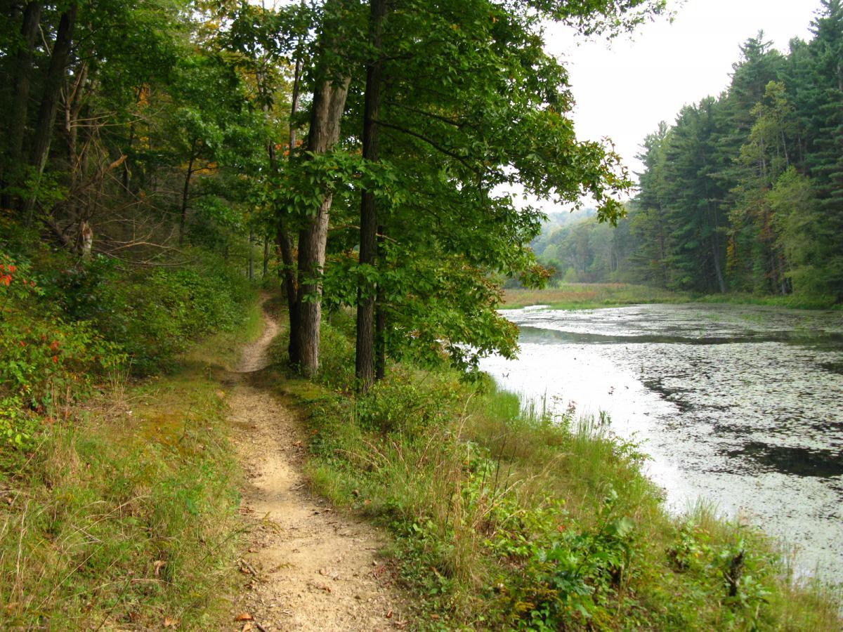 A winding dirt path lined with lush green vegetation and trees, leading to a calm waterway. The water's surface is partially covered with aquatic plants, surrounded by dense forest and a tranquil atmosphere. Lake Hope State Park mountain bike trail.