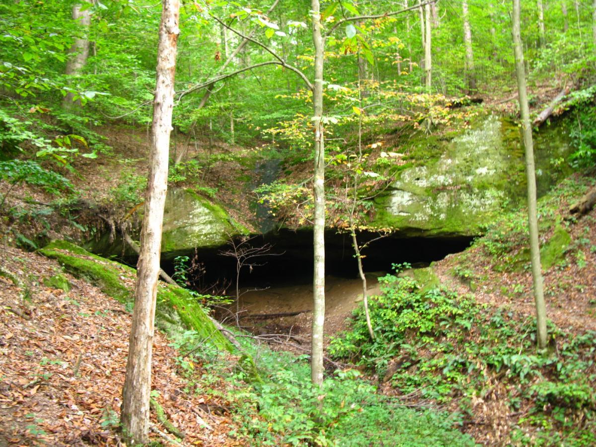 A serene forest scene featuring a natural rock formation resembling a cave entrance, surrounded by lush green vegetation and tall trees. The ground is covered with fallen leaves and moss, contributing to the tranquil atmosphere of the woodland environment. Lake Hope State Park mountain bike trail.