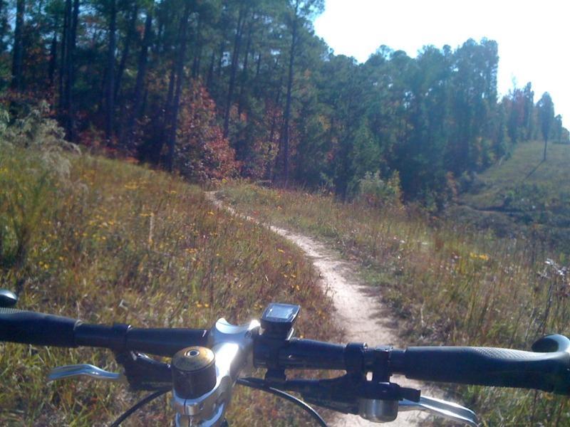 A mountain bike handlebar and digital display are in the foreground, with a winding dirt trail ahead. The trail is surrounded by tall grasses and wildflowers, leading into a lush forest of green and autumn-colored trees under a clear blue sky. Deep Step Loop mountain bike trail.